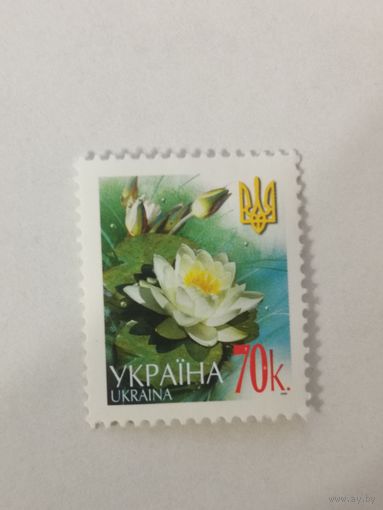 Марка пятого и шестого стандартного выпуска 2006 года - Кувшинка (Nymphaea alba)