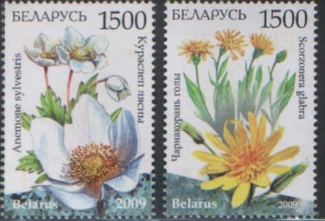 Две марки РБ - Охраняемые растения