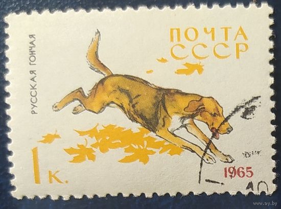 СССР 1965 собаки 1 из 8.