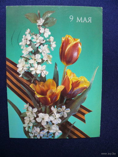 Дергилев И., 9 мая; 1989, 1990, подписана.