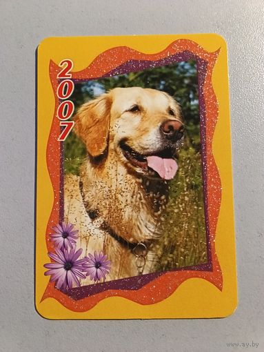 Карманный календарик. Собака. 2007 год