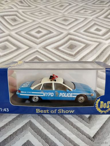 Best of show