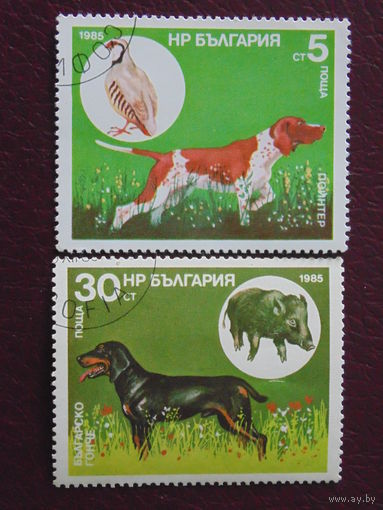 Болгария 1985 г. Собаки.