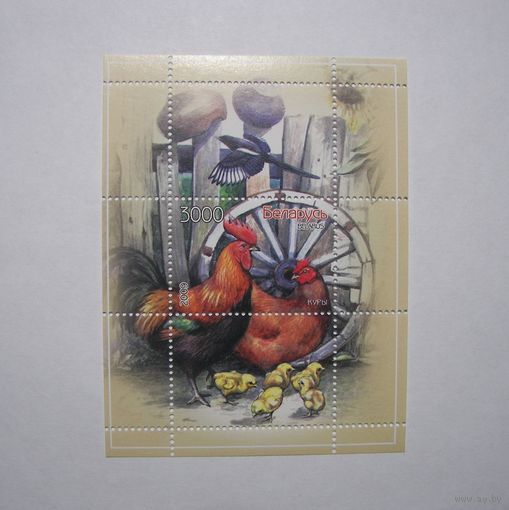 Домашние птицы. Блок. 2009г.