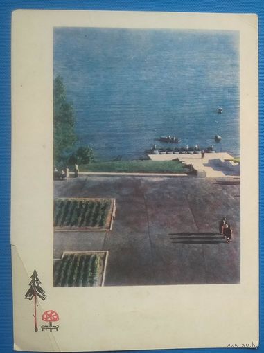 Ананьiны. Нарач. Набяражная. 1965 г. Чыстая.