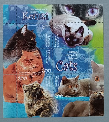 Коты. Беларусь, 2004. Лист