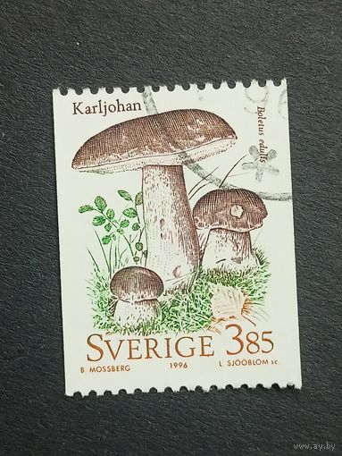 Швеция 1996. Грибы