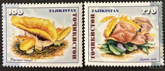 Марки Таджикистан 1999 Грибы MNH