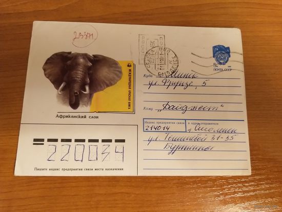 1993 Россия провизорий Смоленска фауна