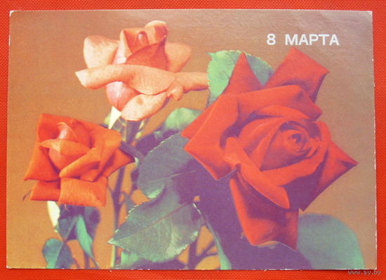 8 Марта! Подписанная. 1989 года. Круцко. # 63.