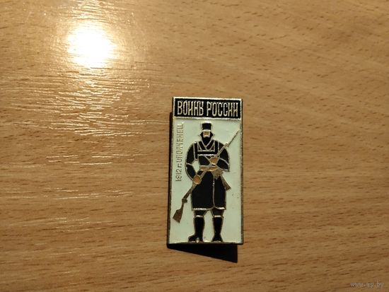 Воины России