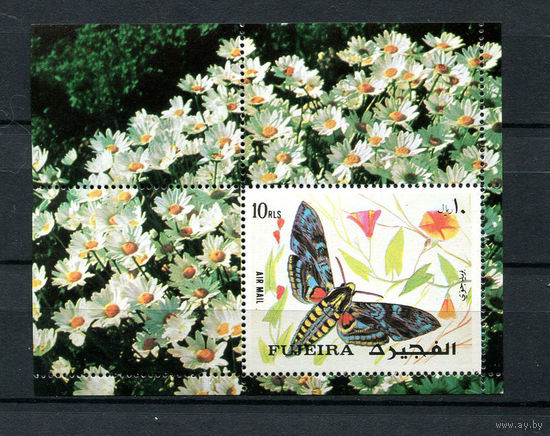 Фуджейра - 1972 - Бабочки - [Mi. bl. 134А] - 1 блок. MNH.