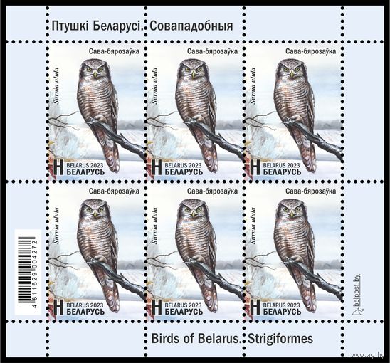 2023 БЕЛАРУСЬ Малый лист "Птицы Беларуси. Совообразные"  MNH