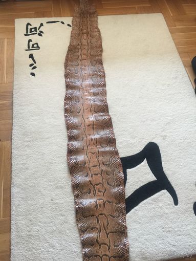 Шкура африканского питона идеал