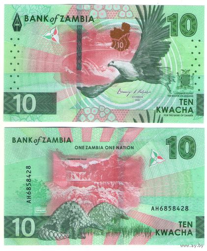 Замбия 10 квача 2024 год UNC НОВИНКА