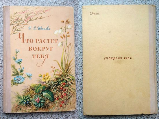 И.В. Иванова Что растет вокруг тебя (пособие) 1962