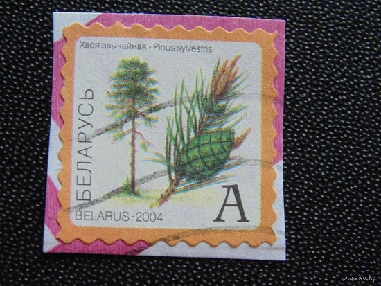 Беларусь 2004 год. Флора.