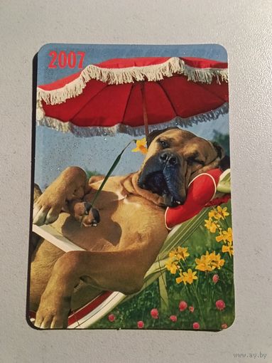 Карманный календарик. Собака. 2007 год