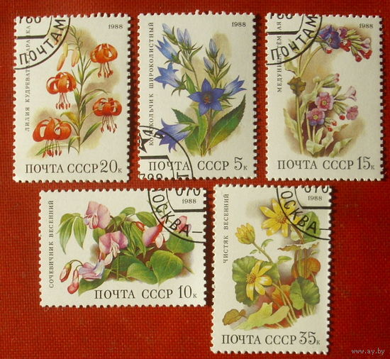 СССР. Цветы широколиственных лесов. ( 5 марок ) 1988 года. 8-4.