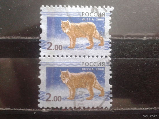 Россия 2008 Стандарт, рысь пара 2 руб