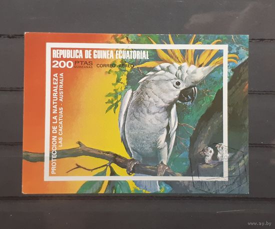 Экваториальная Гвинея. 1973 год. Фауна. Попугай. Блок