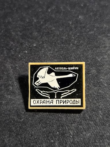 Лебедь-шипун