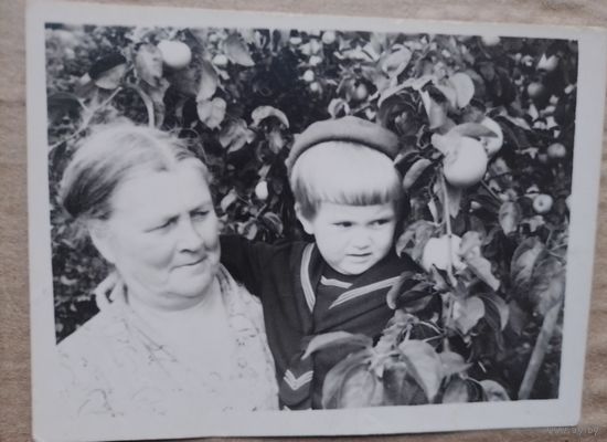 Фото в коллекцию