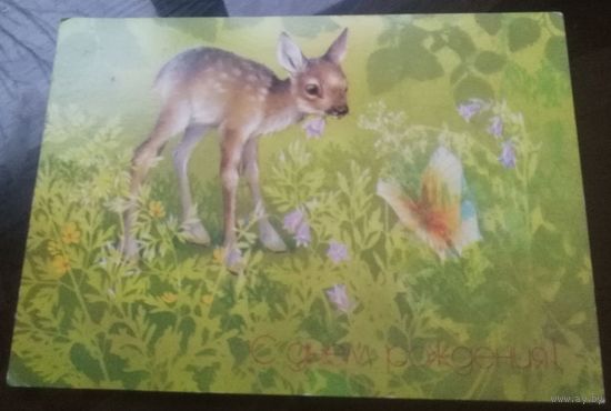 1985 год А.Исаков С днём рождения