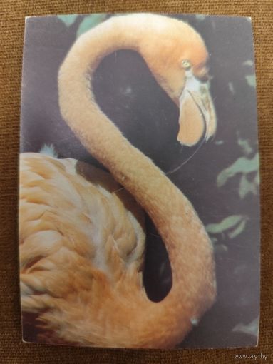 Календарик