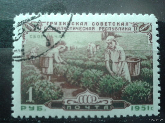 1951 Грузия, сбор чая, концевая с клеем Михель-6,0 евро гаш