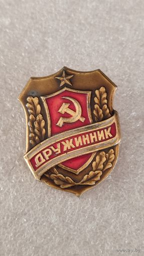 Значек знак Дружинник,200 лотов с 1 рубля!!!