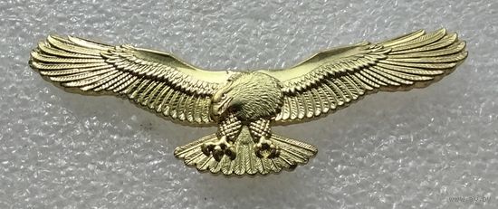 Авиация. Пилот. Орёл. Тяжелый металл. Фрачный знак (фрачник).