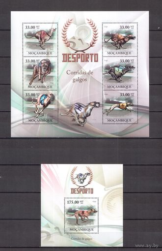 Мозамбик 2010 Фауна домашние собаки - 1 лист + 1 блок MNH**