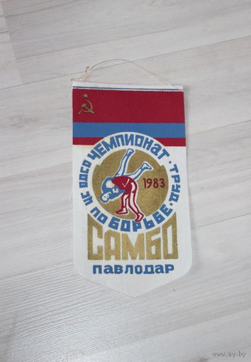 Вымпел по борьбе, ЦС ВДСО чемпионат, труд, самбо, павлодар.