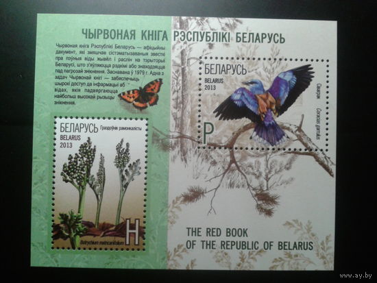 2013 Красная книга** Блок
