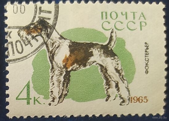 СССР 1965 собаки 1 из 8, наклейка.