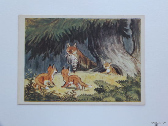 Кукс лисята 1958  10х15 см