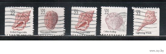 США-1985, (Мих.1741-1745 ),  гаш., Стандарт, Раковины (полная серия) (2)
