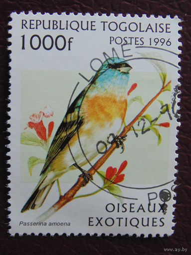 Того  1996 г. Птицы.