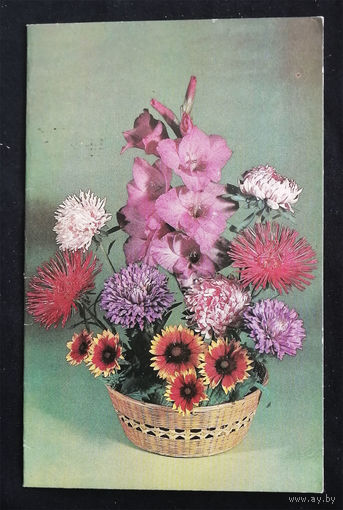 Круцко Ю. Поздравляем ! Цветы. Флора. 1980 год. Двойная #0144-FL1P72