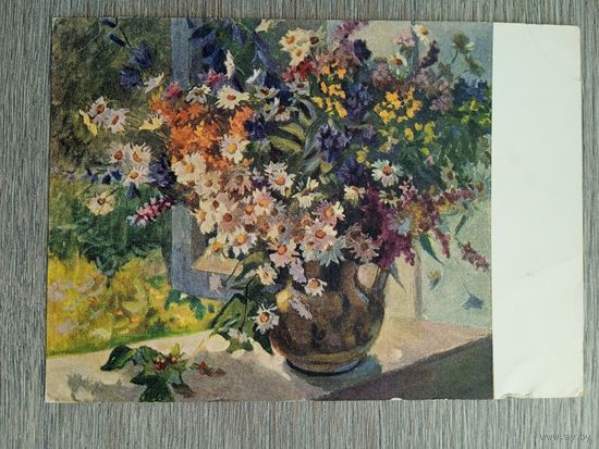 1954. Лигачева. Полевые цветы