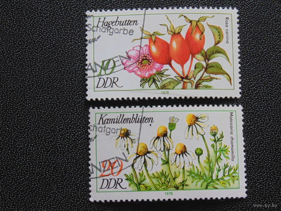 Германия 1978 г. Цветы.