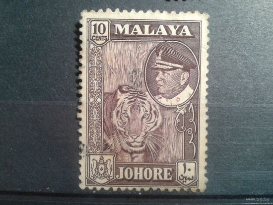 Джохор, 1960.  Тигр и султан Исмаил