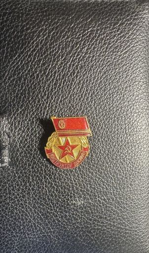 Значок. Инструктор ДОСААФ СССР