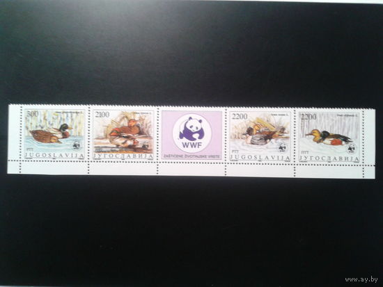 Югославия, 1989. WWF, утки,** сцепка. Mi-10.0 евро
