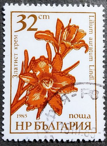 Марка Болгария 1985 год Цветы