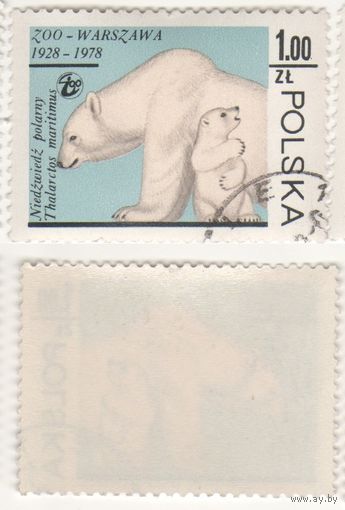 Польша 1978.11.10 (Mi)PL2585 марка из сер.Варшавский зоопарк - 1,00zl Белый медведь (Ursus maritimus) (г) (a1-10 ТОРГ/ВАША ЦЕНА