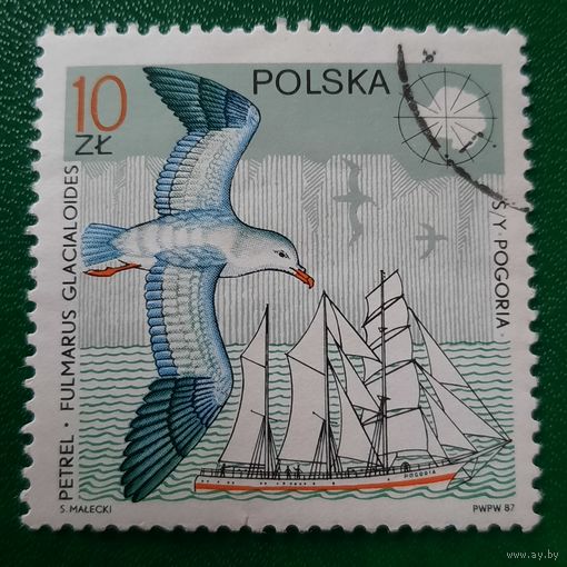 Польша 1987. Фауна. Птицы. Fulmarus Glacialoides. Марка из серии