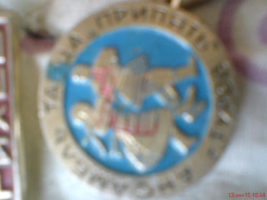 Знак фестиваля в Турове
