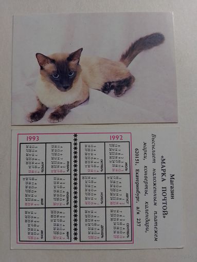 Карманный календарик. Котик.1992 год